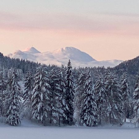 Tuddal Hyttegrend, Gamlestugu, Telemark Esterno foto