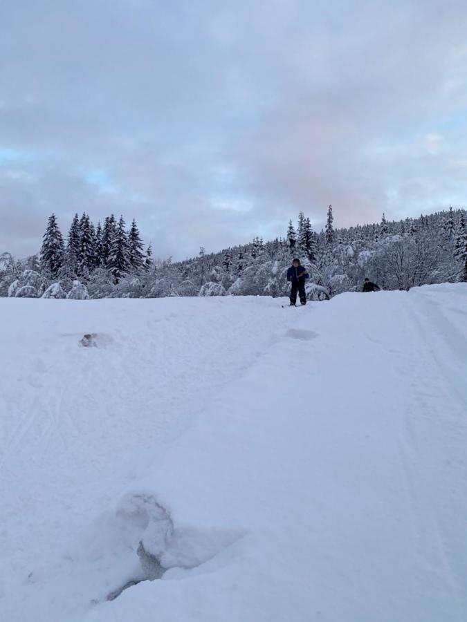 Tuddal Hyttegrend, Gamlestugu, Telemark Esterno foto